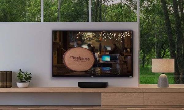 Treehouse Finds TV Streaming Success for Growing Brands